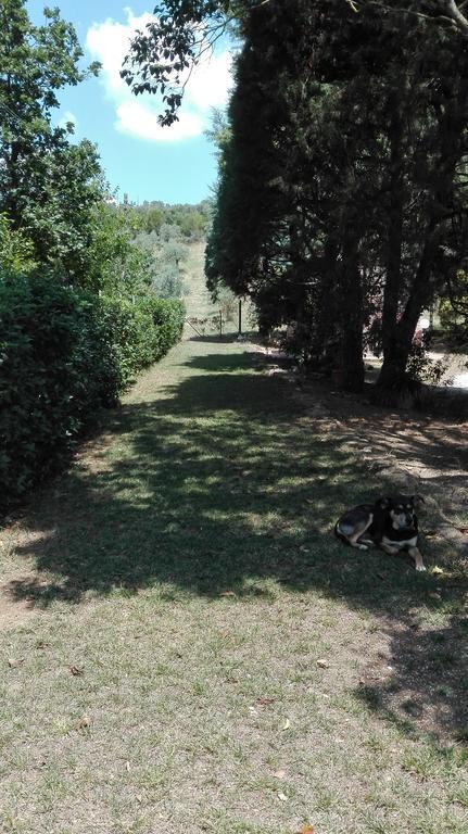 Agriturismo San Lino-Gilberto 马萨马里蒂马 外观 照片