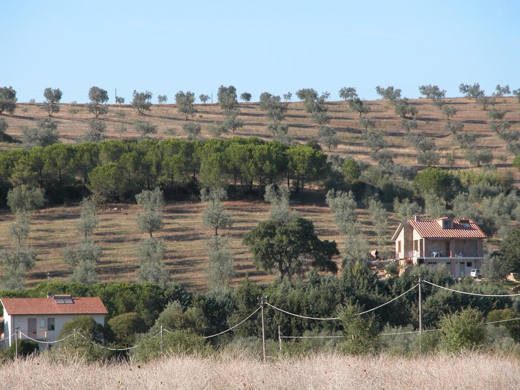 Agriturismo San Lino-Gilberto 马萨马里蒂马 外观 照片