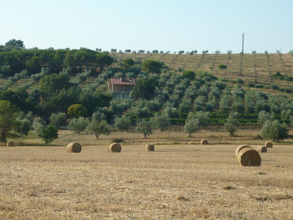 Agriturismo San Lino-Gilberto 马萨马里蒂马 外观 照片