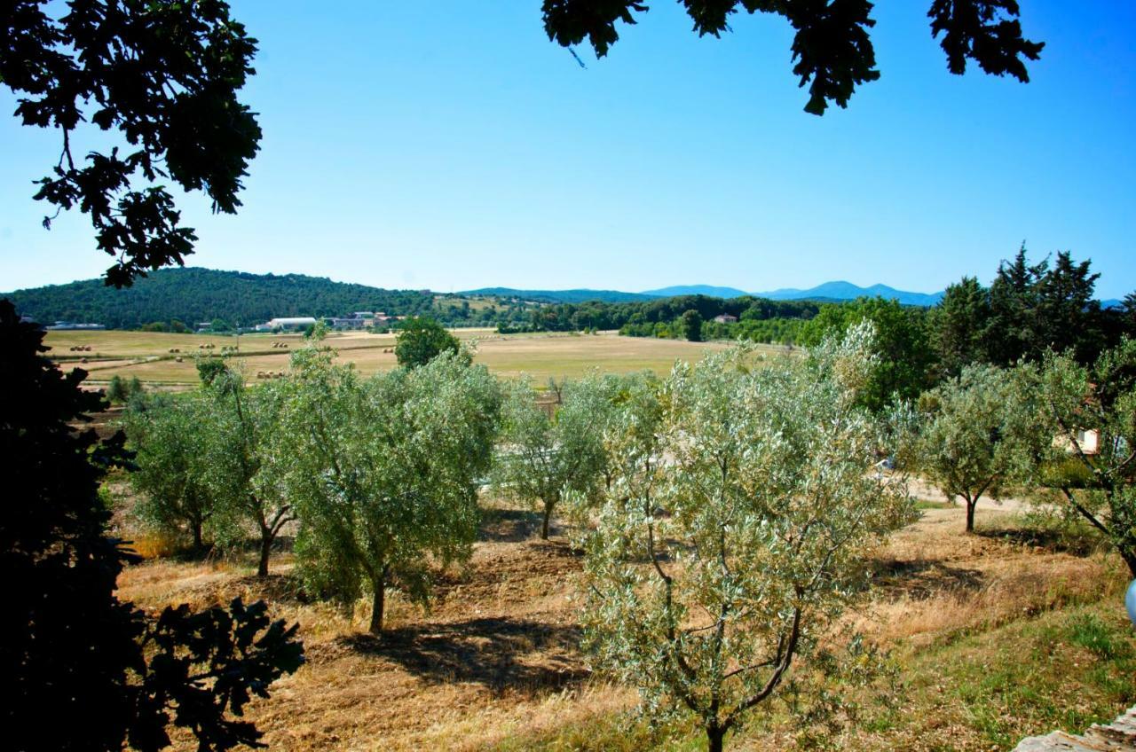 Agriturismo San Lino-Gilberto 马萨马里蒂马 外观 照片