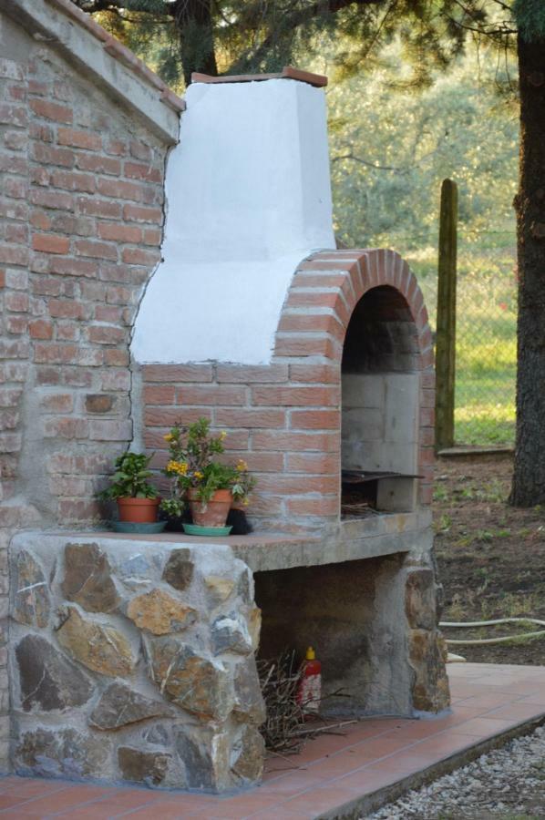 Agriturismo San Lino-Gilberto 马萨马里蒂马 外观 照片
